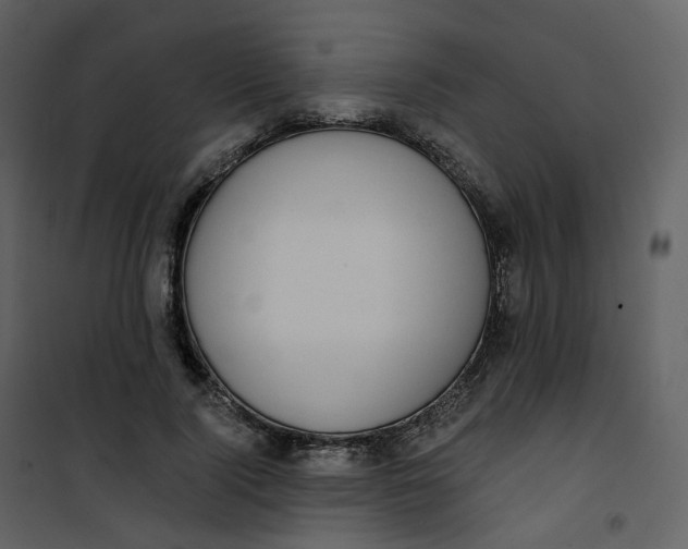 X0000101200740200807181534