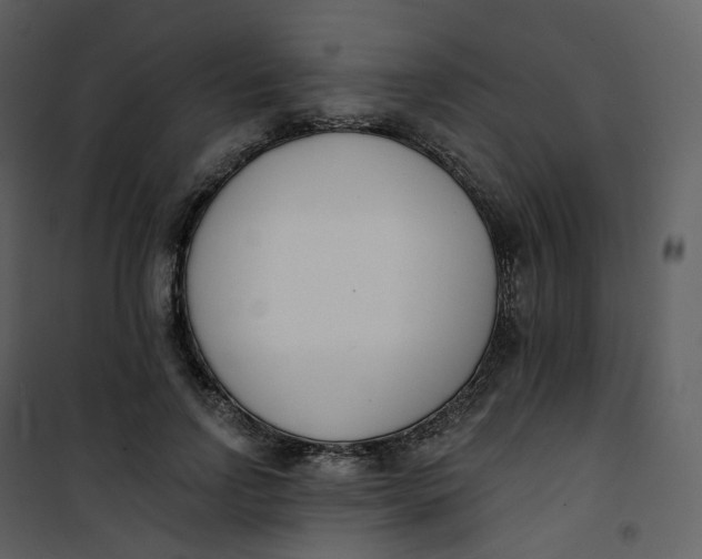 X0000101200742200807181534