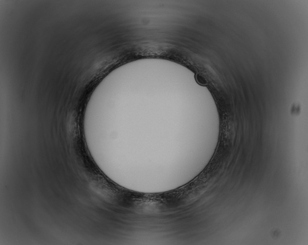 X0000101200743200807181534