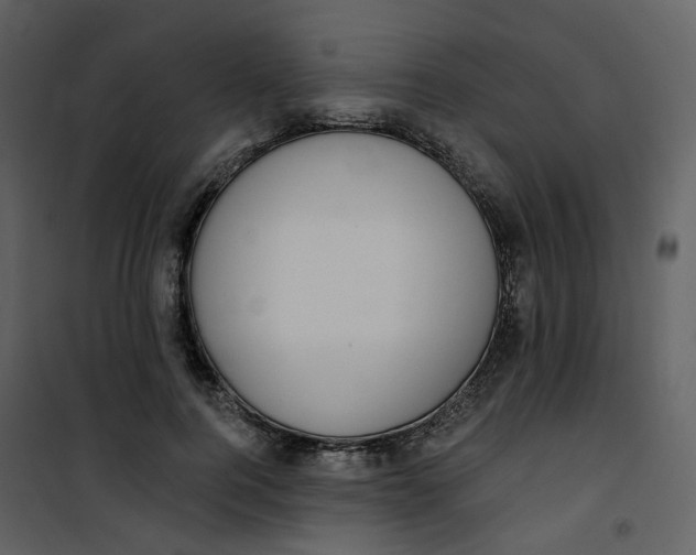 X0000101200744200807181534