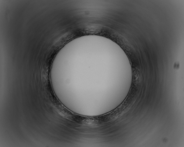 X0000101200745200807181534