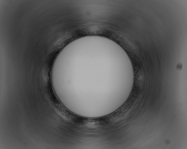 X0000101200746200807181534