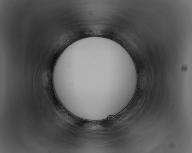 X0000101200747200807181534