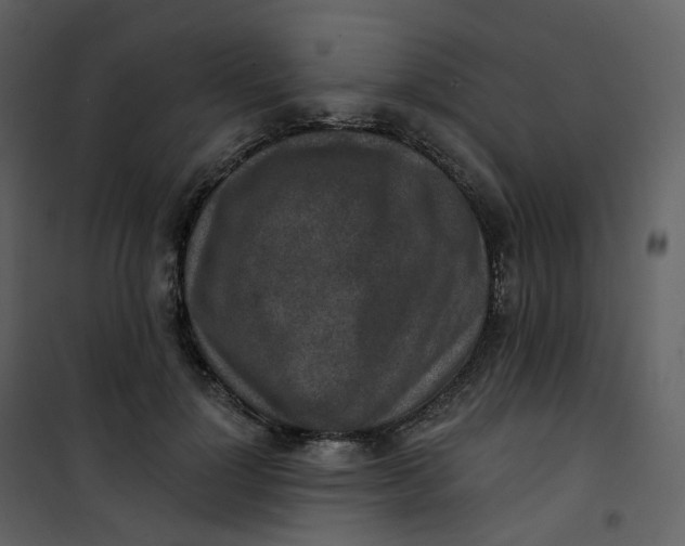 X0000101200748200807181534