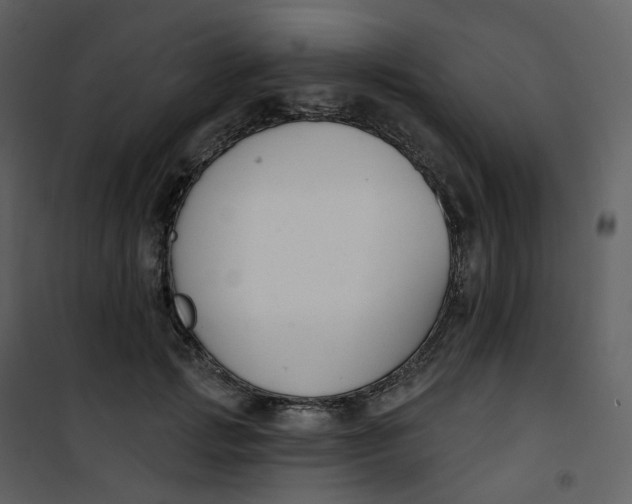 X0000101200749200807181534