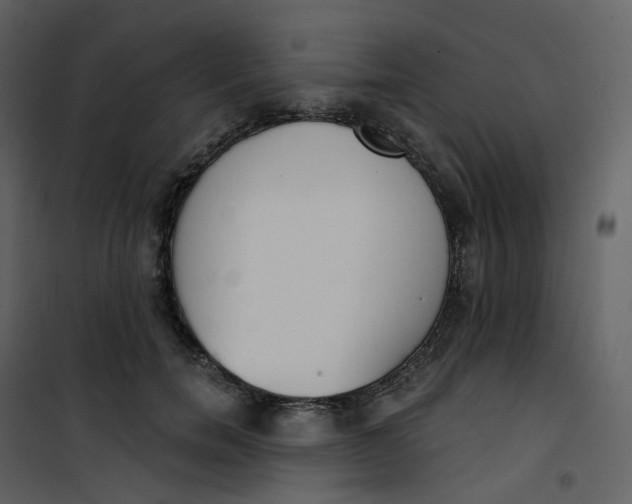 X0000101200750200807181534