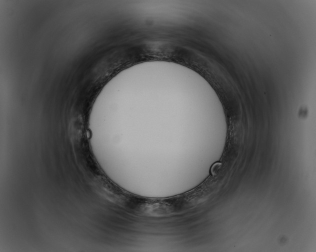 X0000101200752200807181534