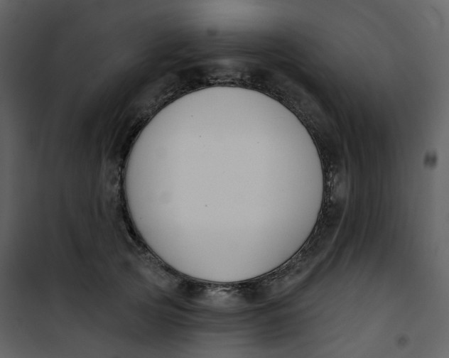 X0000101200753200807181534