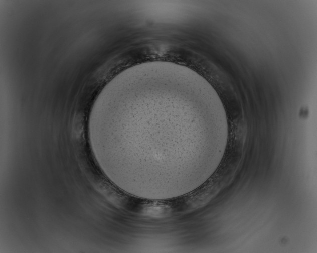 X0000101200754200807181534