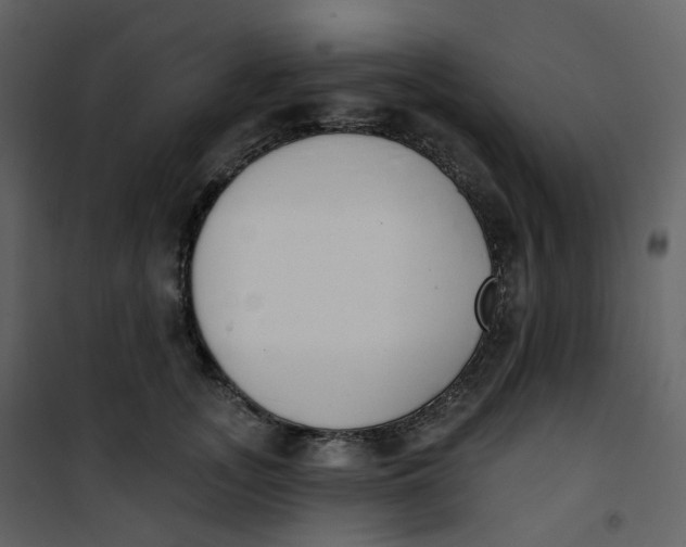 X0000101200755200807181534