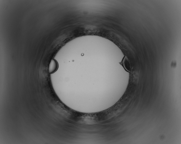 X0000101200756200807181534