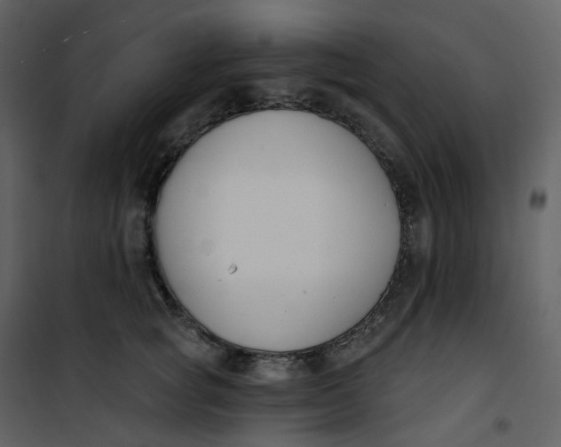 X0000101200757200807181534