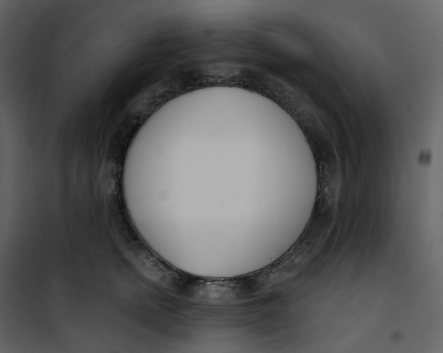 X0000101200758200807181534