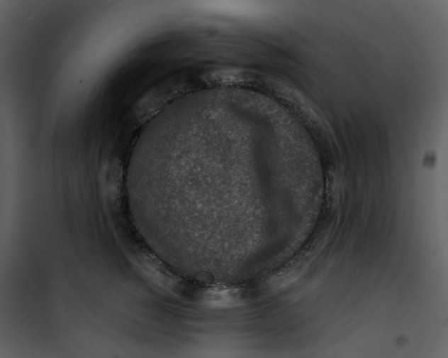 X0000101200760200807181534