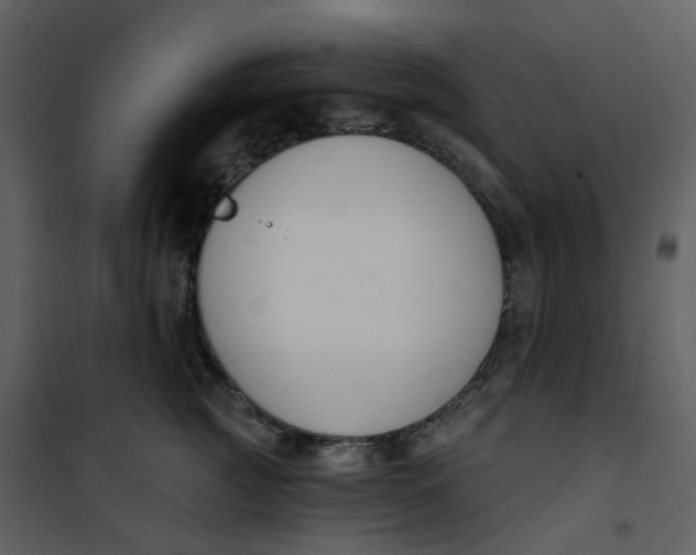 X0000101200761200807181535