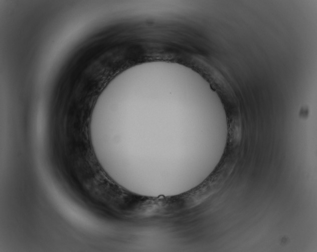 X0000101200764200807181535