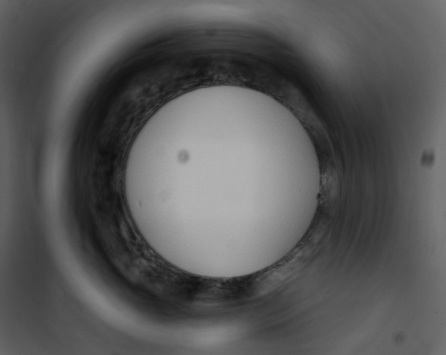 X0000101200765200807181535