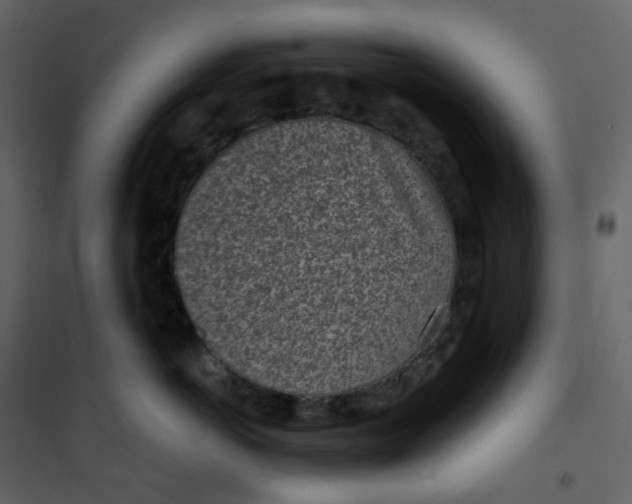 X0000101200766200807181535