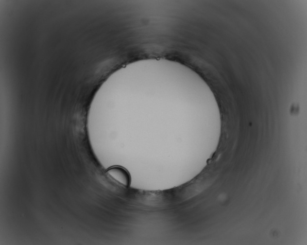 X0000101200768200807181535