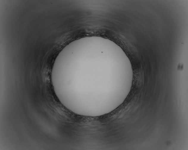 X0000101200770200807181534