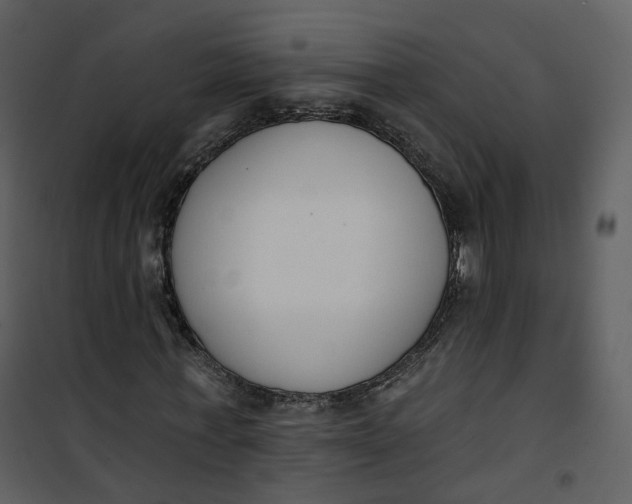 X0000101200771200807181534