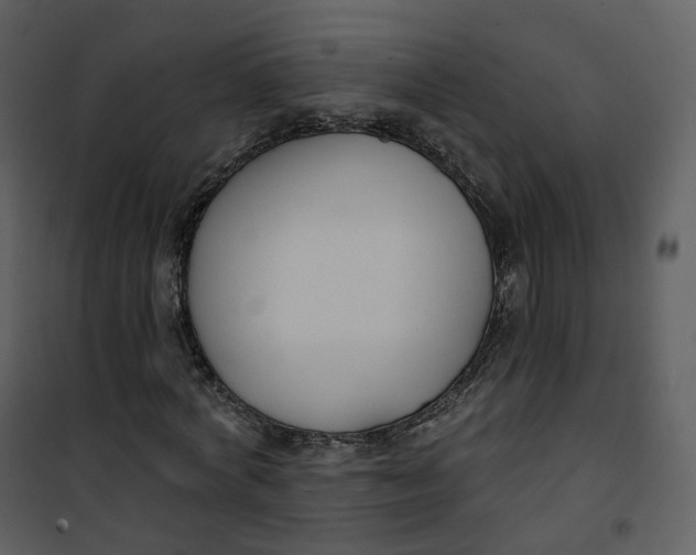 X0000101200772200807181534