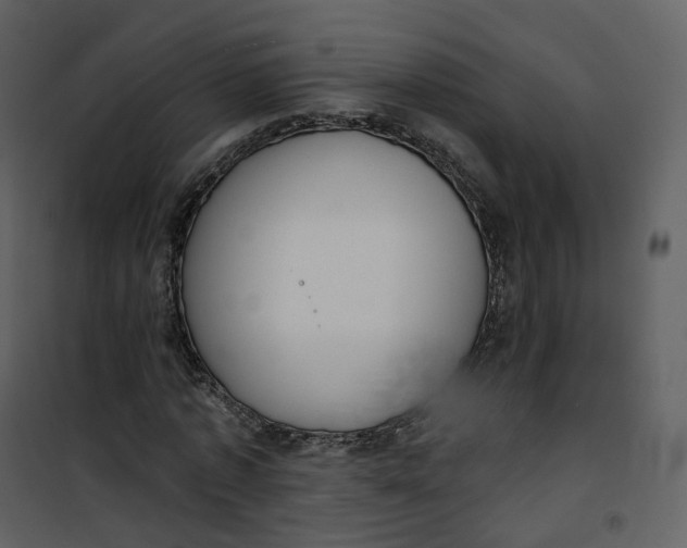 X0000101200773200807181534