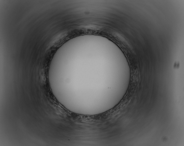 X0000101200774200807181534