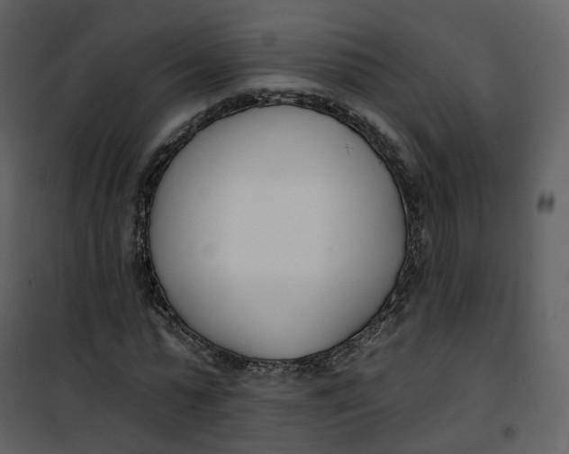 X0000101200775200807181534