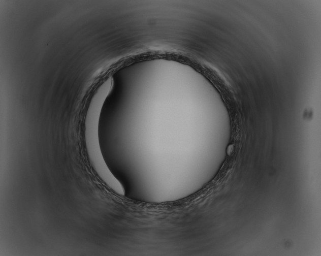 X0000101200776200807181534