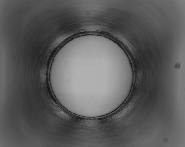 X0000101200778200807181534