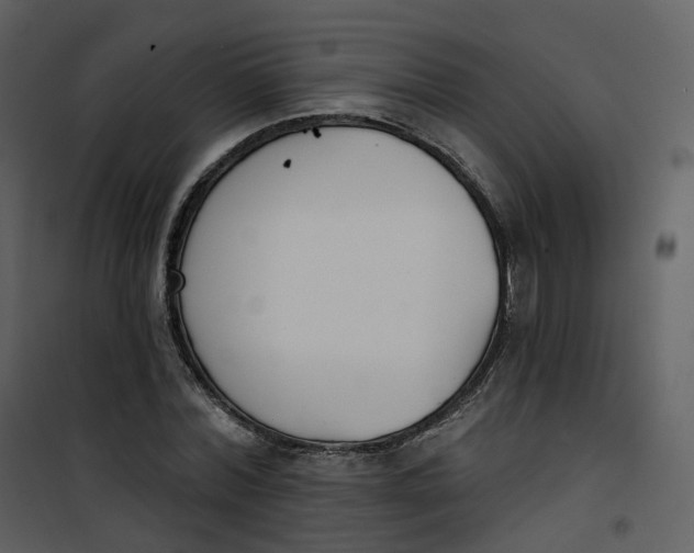 X0000101200780200807181534