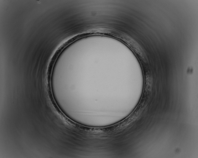 X0000101200784200807181534