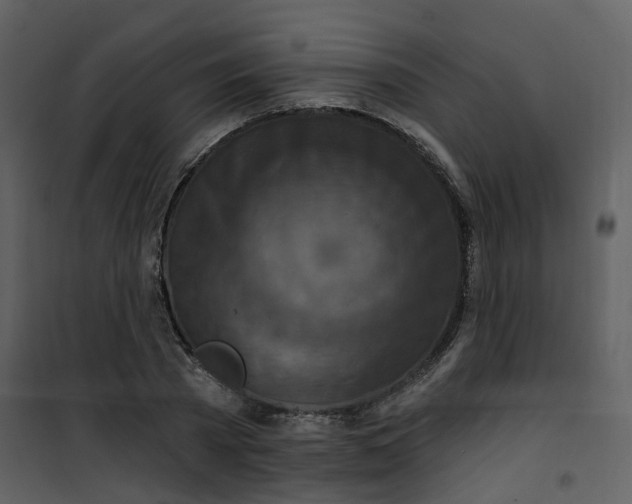 X0000101200785200807181534