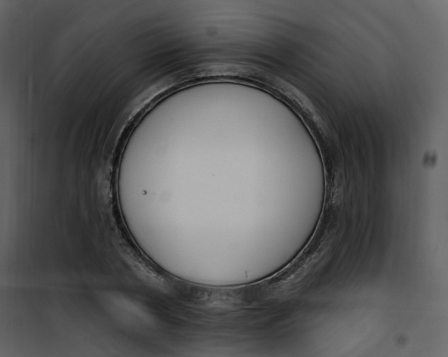 X0000101200786200807181534