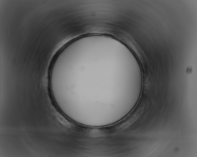 X0000101200787200807181534