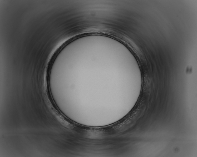 X0000101200788200807181534