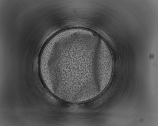 X0000101200790200807181534