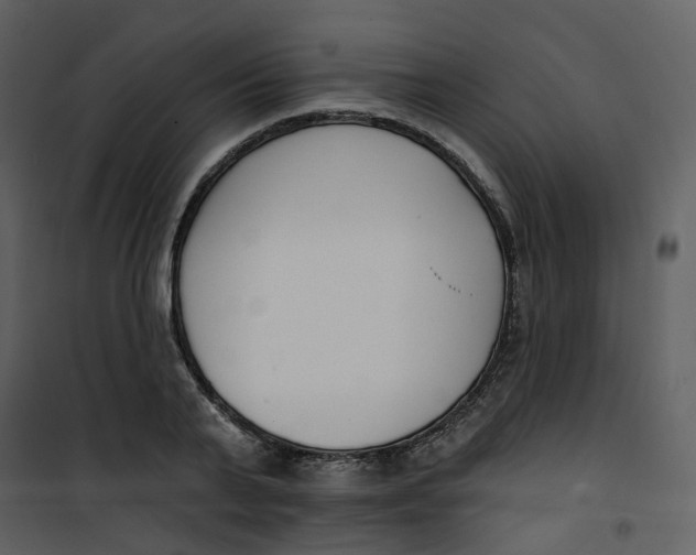 X0000101200791200807181534