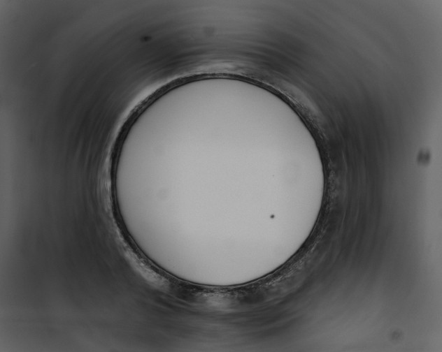 X0000101200792200807181534