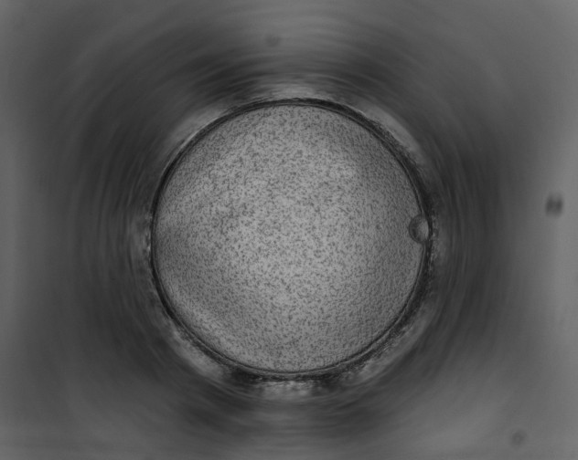 X0000101200793200807181534