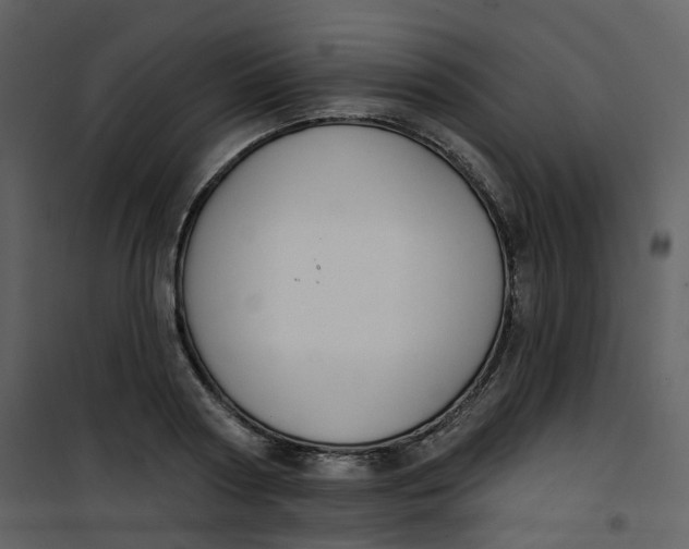 X0000101200794200807181534