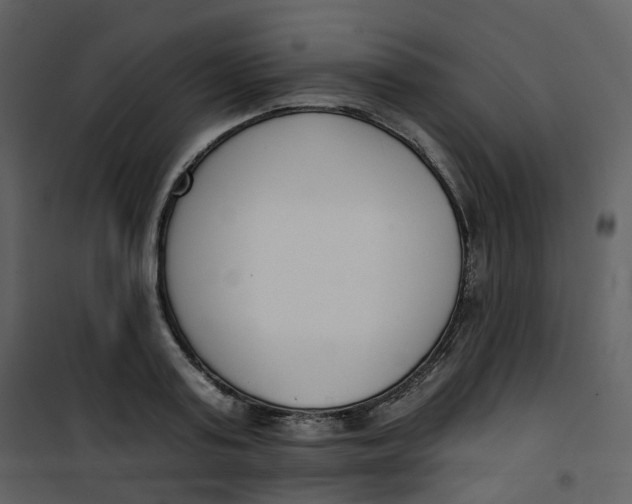 X0000101200795200807181533