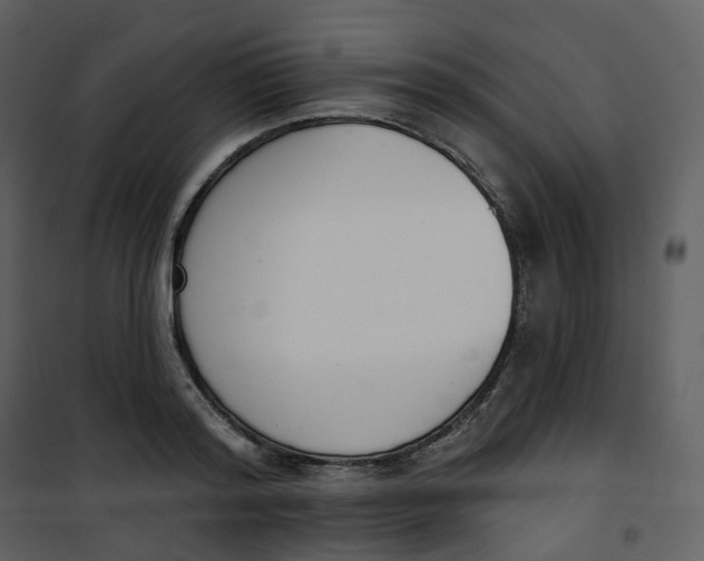 X0000101200796200807181533