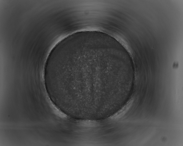 X0000101200797200807181533