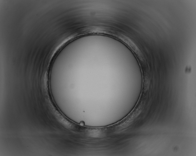 X0000101200798200807181533