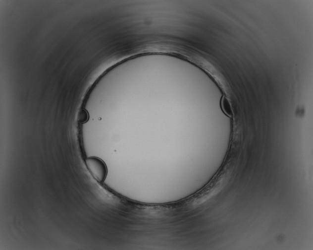 X0000101200803200807181533