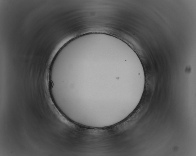 X0000101200804200807181533