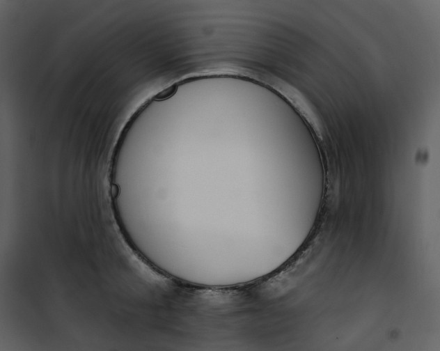 X0000101200805200807181533