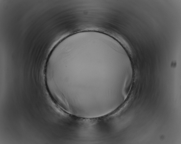 X0000101200806200807181533